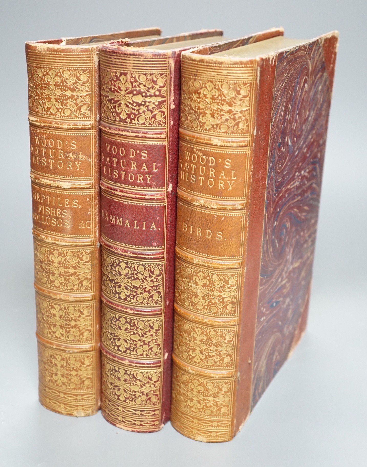 Wood, Rev. J.G. - The Illustrated Natural History, 3 vols. many engraved illus.; contemp. red half morocco and marbled boards, gilt-decorated and panelled spines, ge. and marbled e/ps., roy.8vo. -64